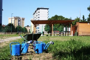 IMG_9641